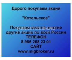 Покупка акций «Котельское»