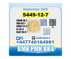 New 5449-12-7 BMK 28578-16-7 PMK factory safe delivery