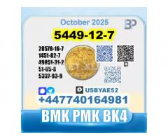New 5449-12-7 BMK 28578-16-7 PMK factory safe delivery