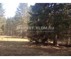 Продаем земельный участок 3,5 гектара в собсвенности