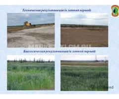 Технические проекты рекультивации земель и отвалов