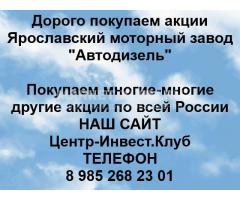 Покупаем акции Ярославский моторный завод